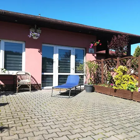 Lavender * Jelenia Góra